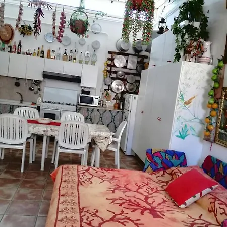 Apartment Rosa
